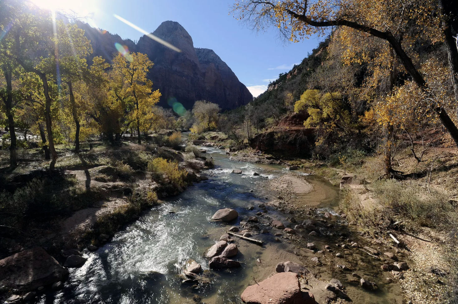 Harmful algal bloom found in Virgin River believed to have killed dog