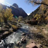 Harmful algal bloom found in Virgin River believed to have killed dog