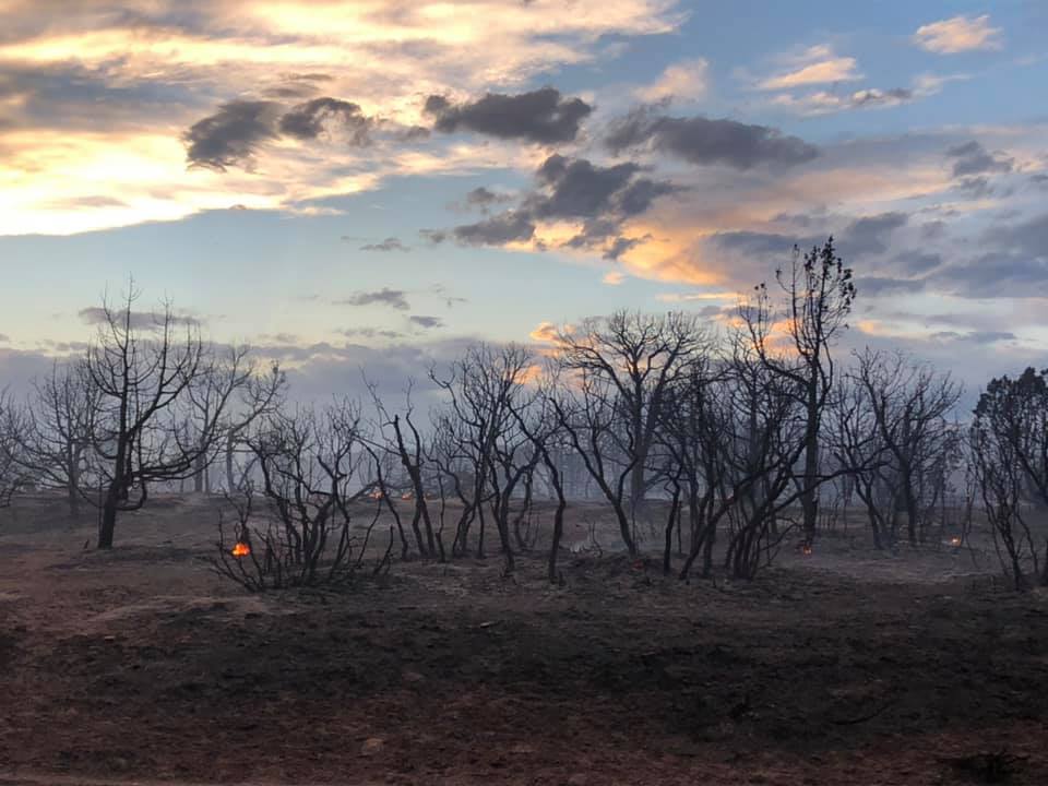Wildfire updates: Fire sparks in San Juan County