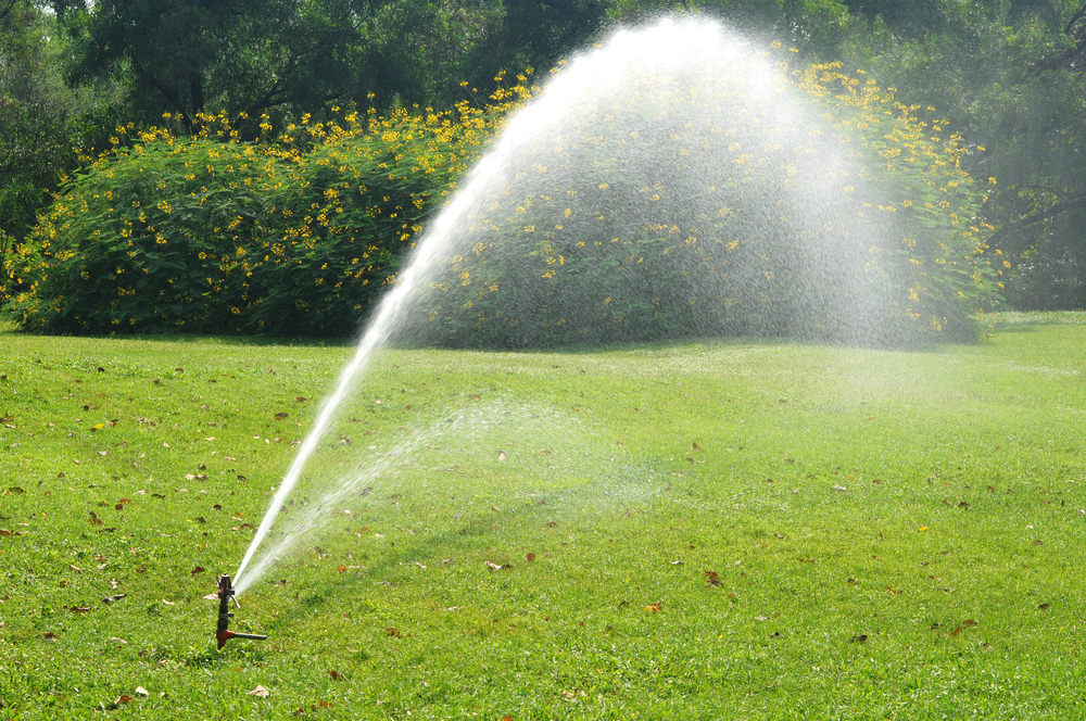 Are your sprinklers causing brown spots?