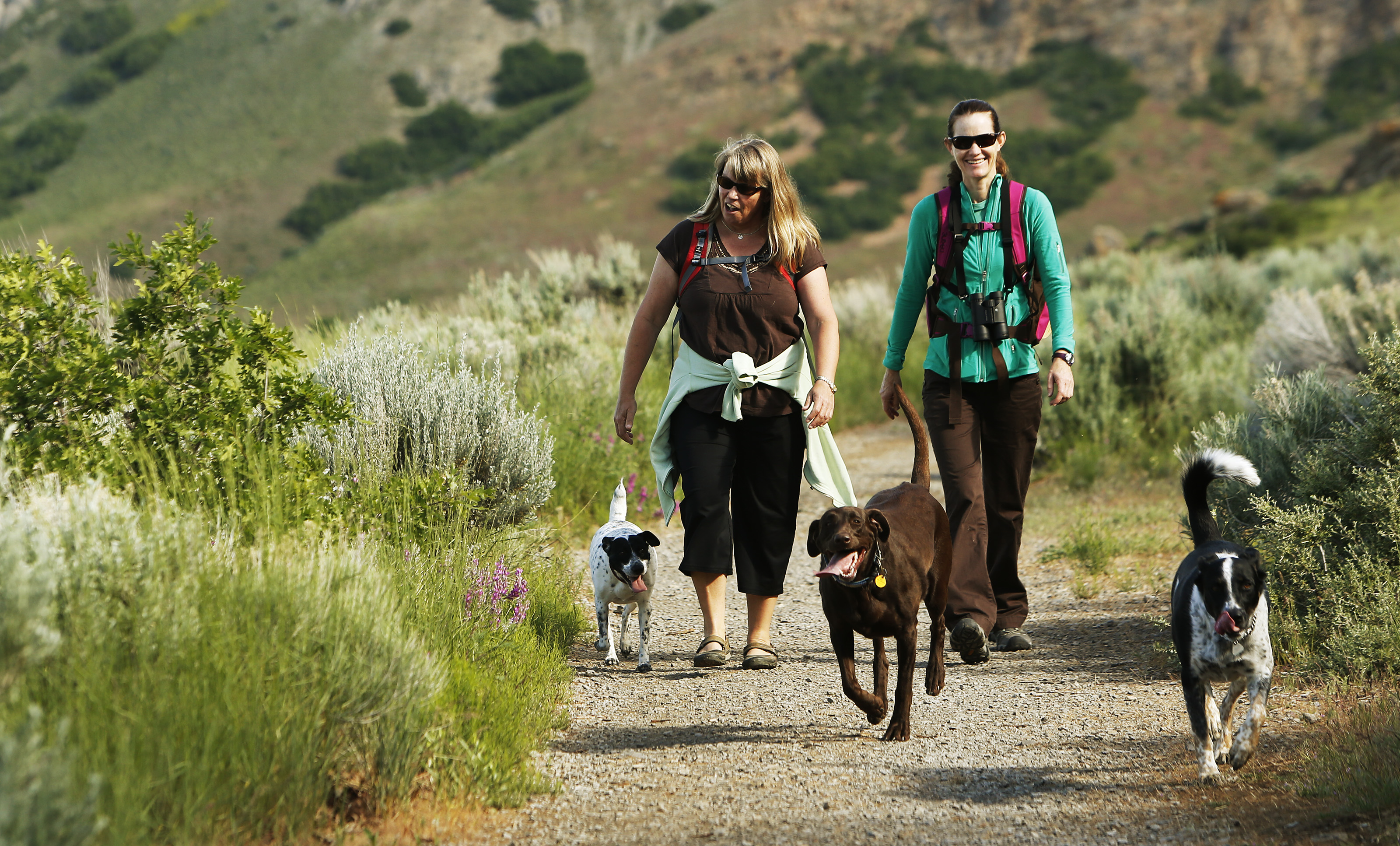 Proposal would extend Bonneville Shoreline Trail in Salt Lake, Utah counties