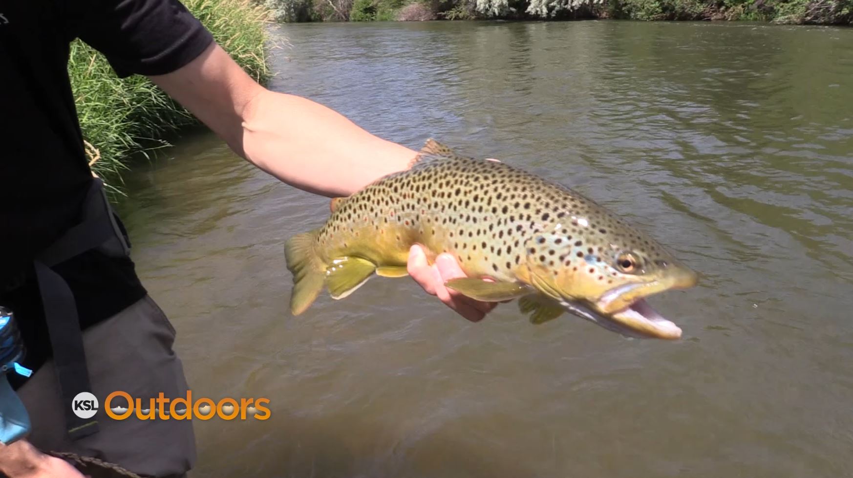 Fish Tech Fishing Tip: How to Fish Hopper Season
