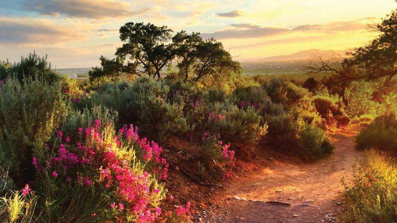 bonneville shoreline trail