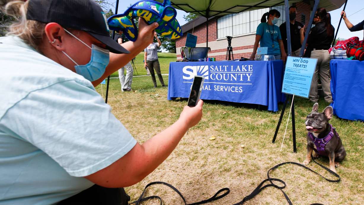 Stephanie Soules takes a picture of her dog Violet next to a sign at Sugar House Park in Salt Lake City on Monday, July 27, 2020. Salt Lake County Animal Services has launched a Good Dog campaign aims to remind and educate dog owners who are unaware of pet ordinances and laws.