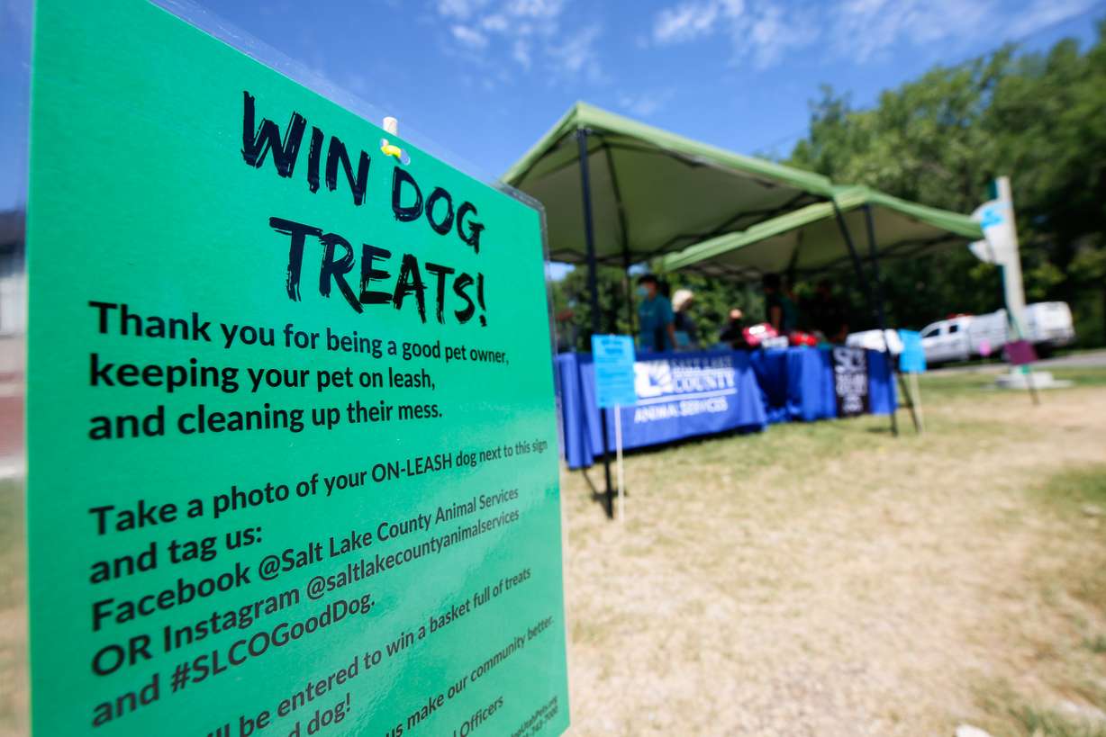 A sign promoting Salt Lake County Animal Services' Good Dog campaign is pictured at Sugar House Park in Salt Lake City on Monday, July 27, 2020. The campaign aims to remind and educate dog owners who are unaware of pet ordinances and laws.