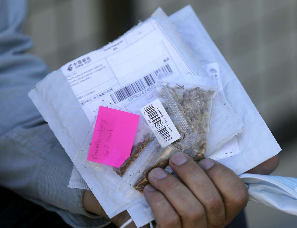 Logan Wilde, commissioner of the Utah Department of Agriculture and Food, holds seeds that Utah residents received in unsolicited packages in the mail outside of the department's headquarters in Salt Lake City on Tuesday, July 28, 2020. Any unsolicited seeds should be turned over to the UDAF’s Plant Industry Division for analysis and destruction.