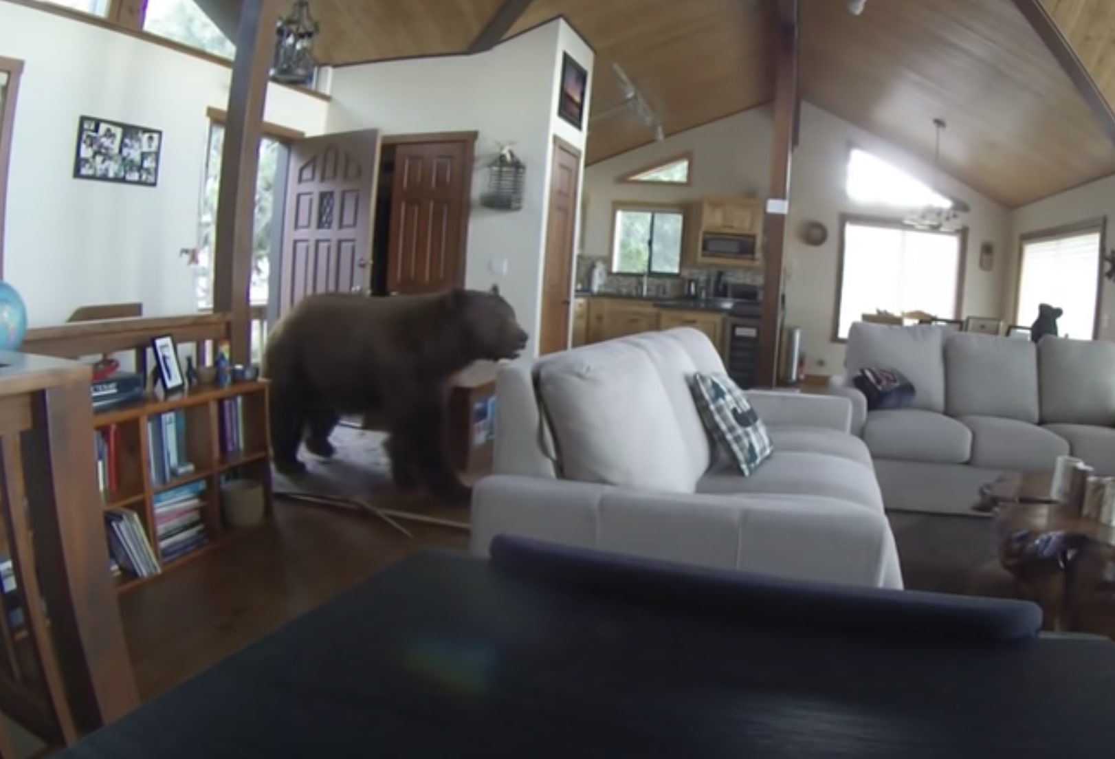 Have You Seen This? Bear breaks down door to get into cabin