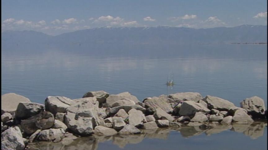 Microbiologist Honored for Her Work on Microorganisms