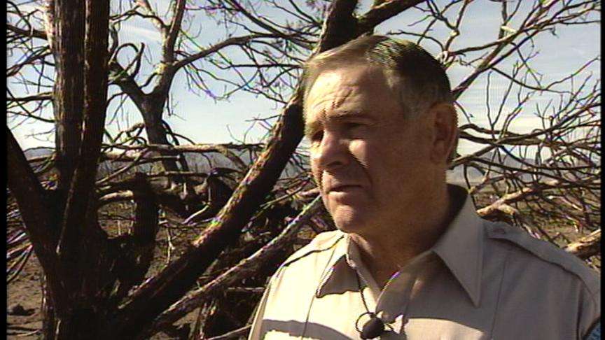 Federal and State Governments Helping Central Utah Ranchers