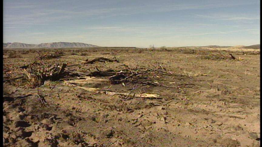 Federal and State Governments Helping Central Utah Ranchers