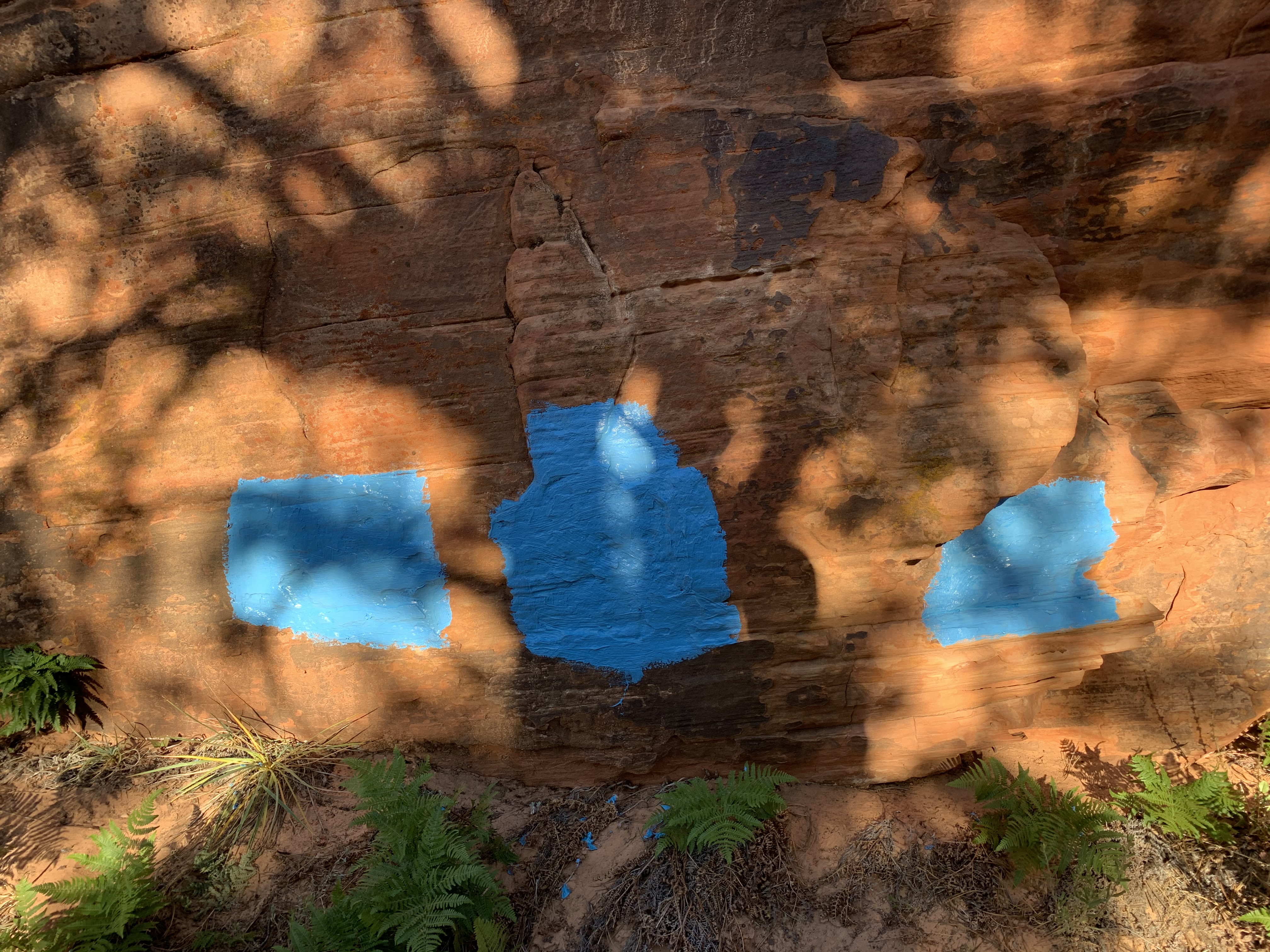 Zion National Park rangers want to know who painted blue squares at Kolob Terrace that mysteriously vanished