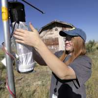 COVID-19 grabs headlines, but health officials note West Nile virus a mosquito bite away