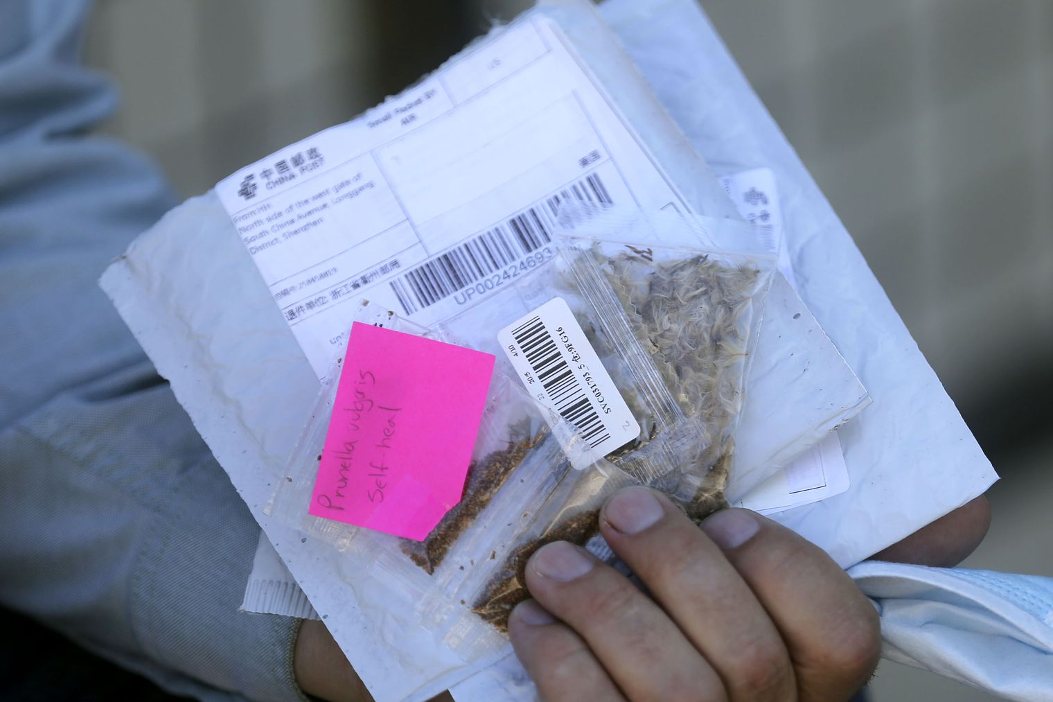 Logan Wilde, commissioner of the Utah Department of Agriculture and Food, holds seeds that Utah residents received in unsolicited packages in the mail outside of the department’s headquarters in Salt Lake City on Tuesday, July 28, 2020. Any unsolicited seeds should be turned over to the UDAF’s Plant Industry Division for analysis and destruction.