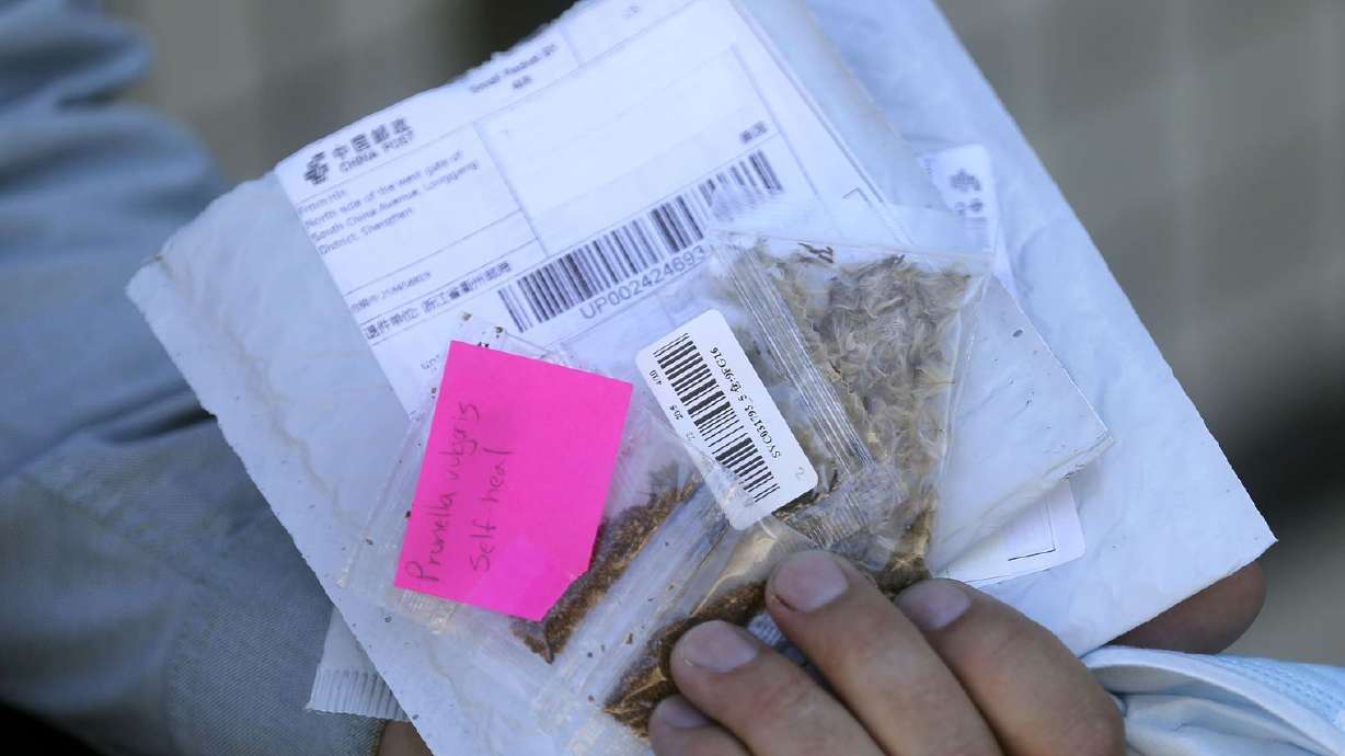 Logan Wilde, commissioner of the Utah Department of Agriculture and Food, holds seeds that Utah residents received in unsolicited packages in the mail outside of the department’s headquarters in Salt Lake City on Tuesday, July 28, 2020. Any unsolicited seeds should be turned over to the UDAF’s Plant Industry Division for analysis and destruction.