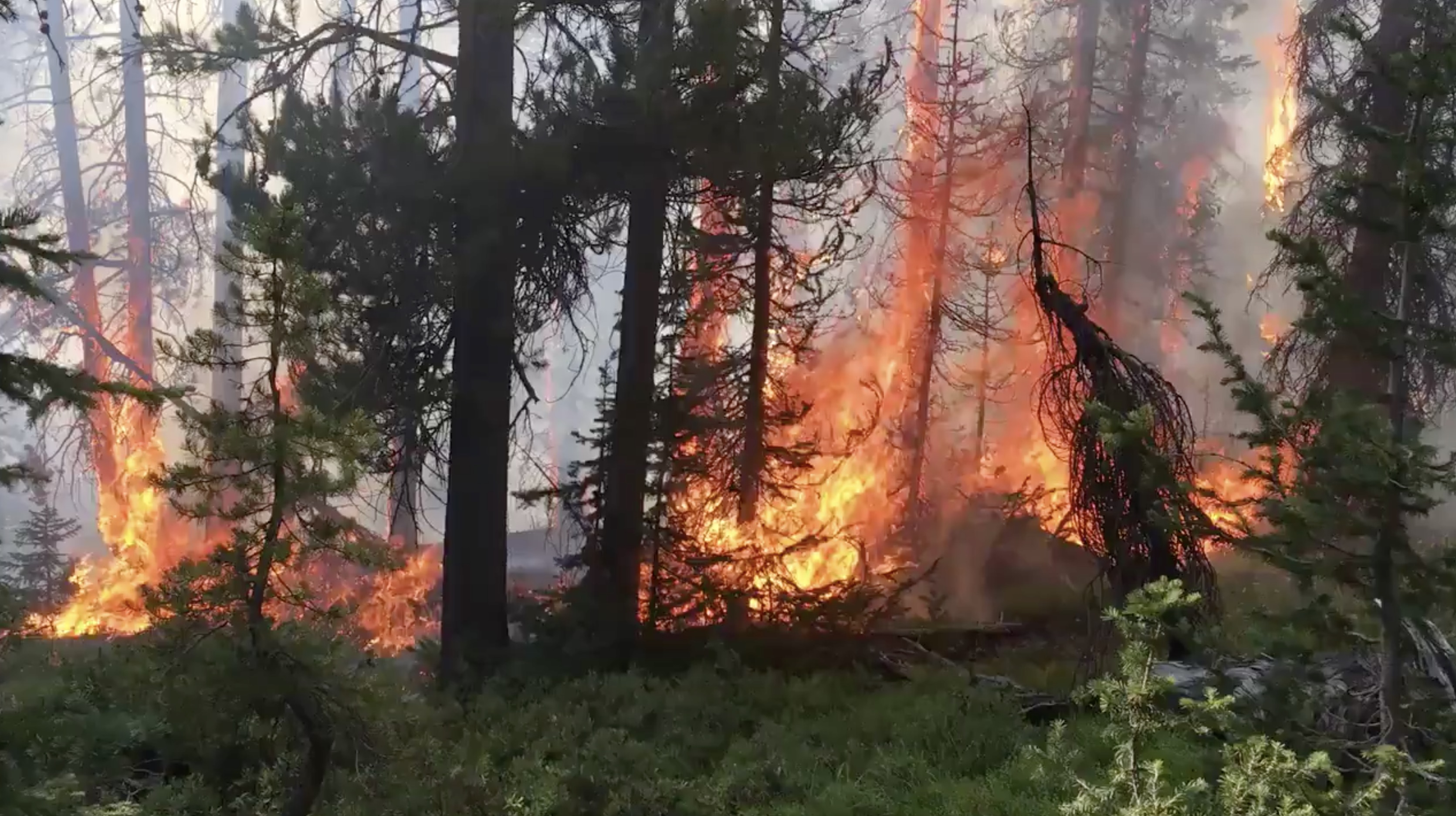 The Upper Provo Wildfire is seen on Sunday, August 2, 2020.