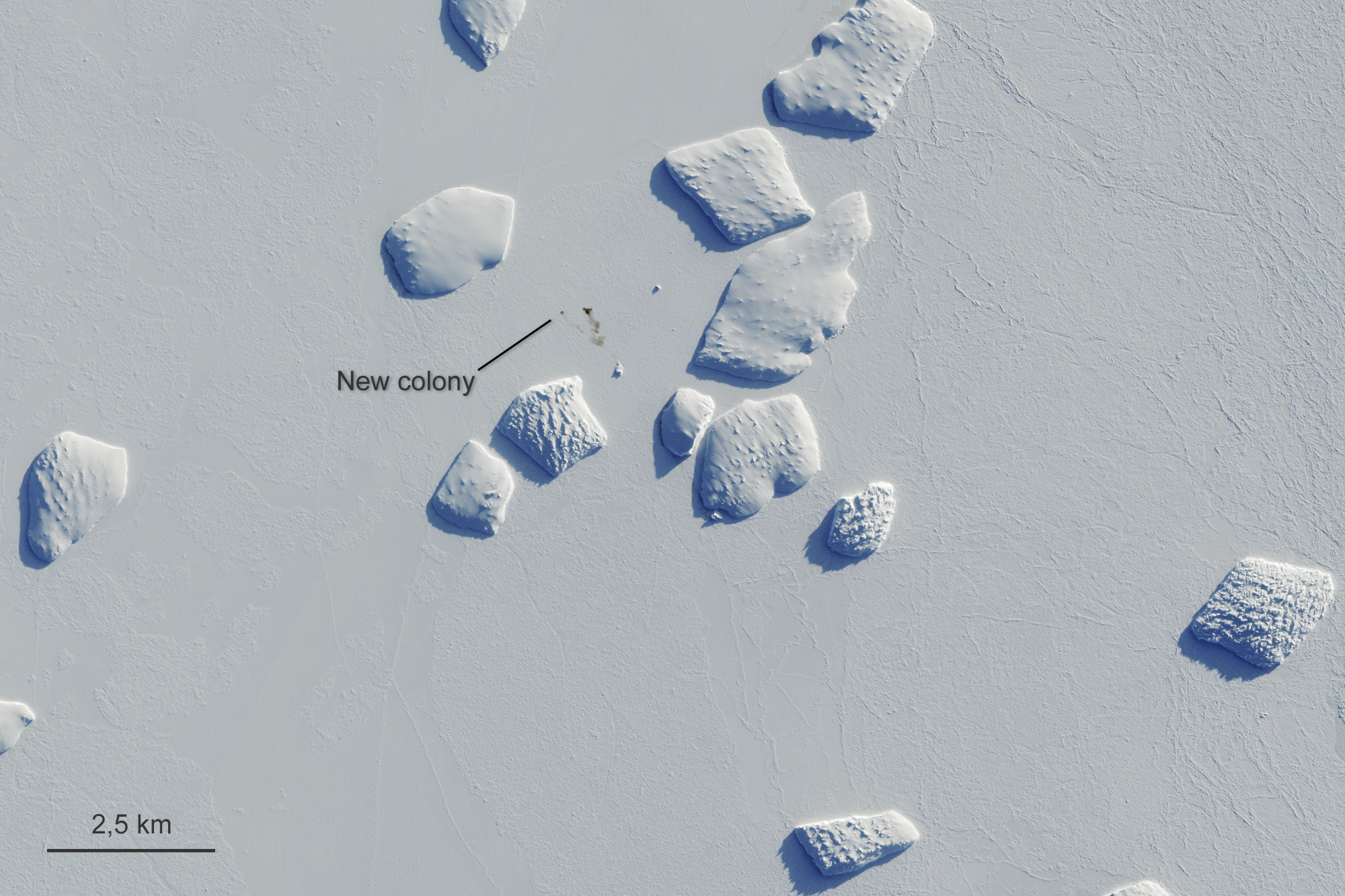 Poop scoop: Satellite images reveal Antarctic penguin haunts