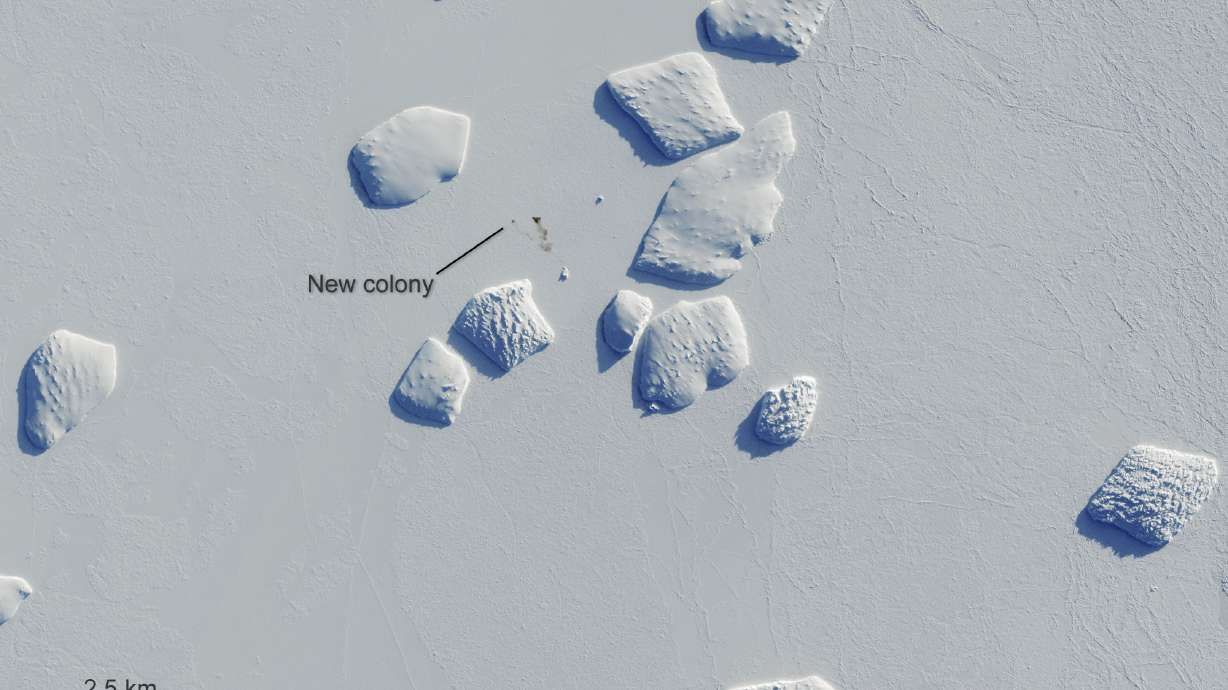 Poop scoop: Satellite images reveal Antarctic penguin haunts