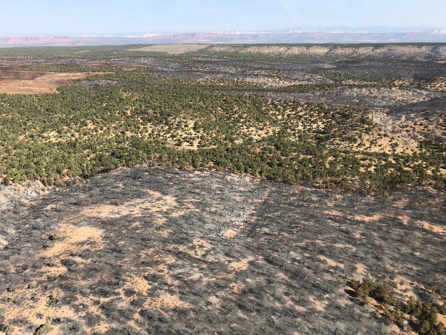 Aftermath of the Pine Hollow Fire, burning near the Utah-Arizona border in Kane County, is seen on Wednesday, Aug. 5, 2020.