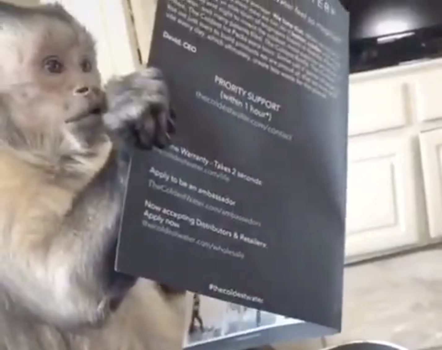 Have You Seen This? Monkey could not be more excited about his new water bottle
