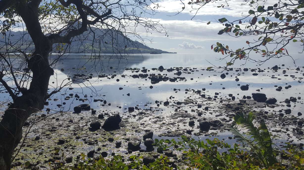 Race in Mauritius to empty oil tanker before it breaks up