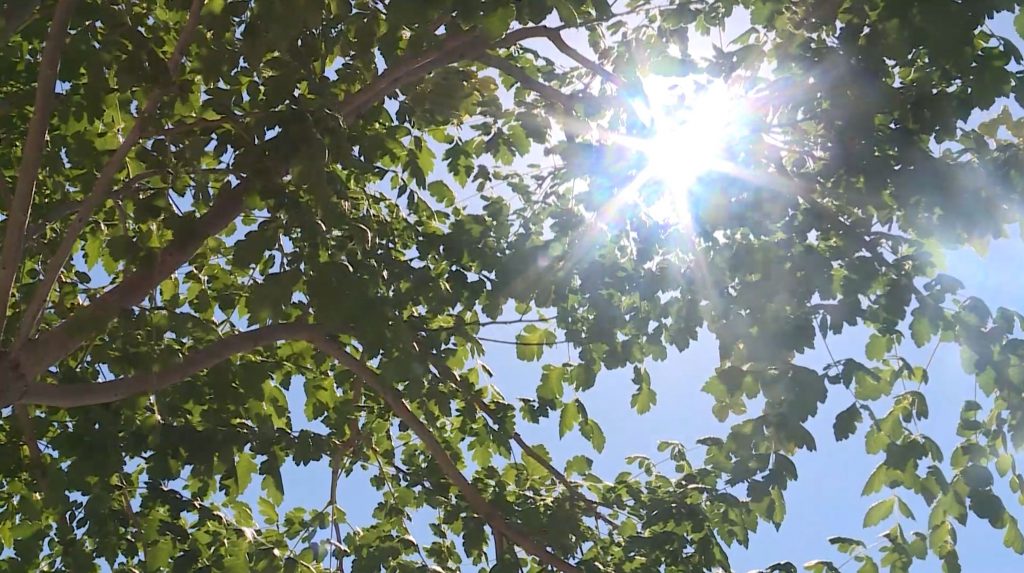 Emissions from industrial facilities, motor exhaust, and other general gas pollutants react with sunlight creating an unhealthy ground-level ozone.