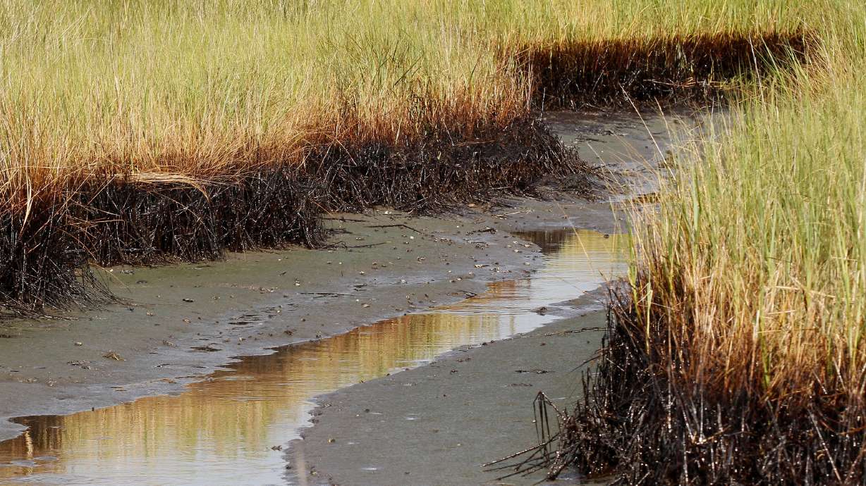 $205M in BP spill money for Louisiana coastal restoration