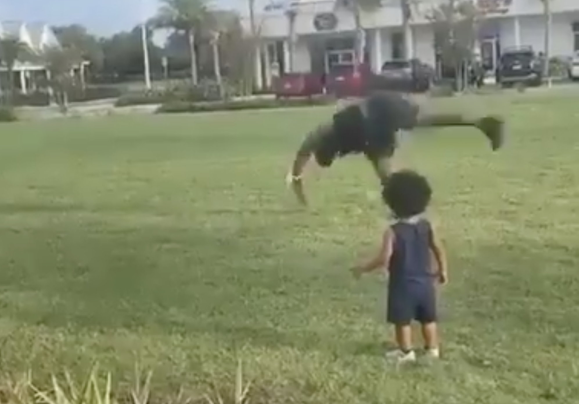 Have You Seen This? Toddler's cartwheel attempt is perfect representation of 2020