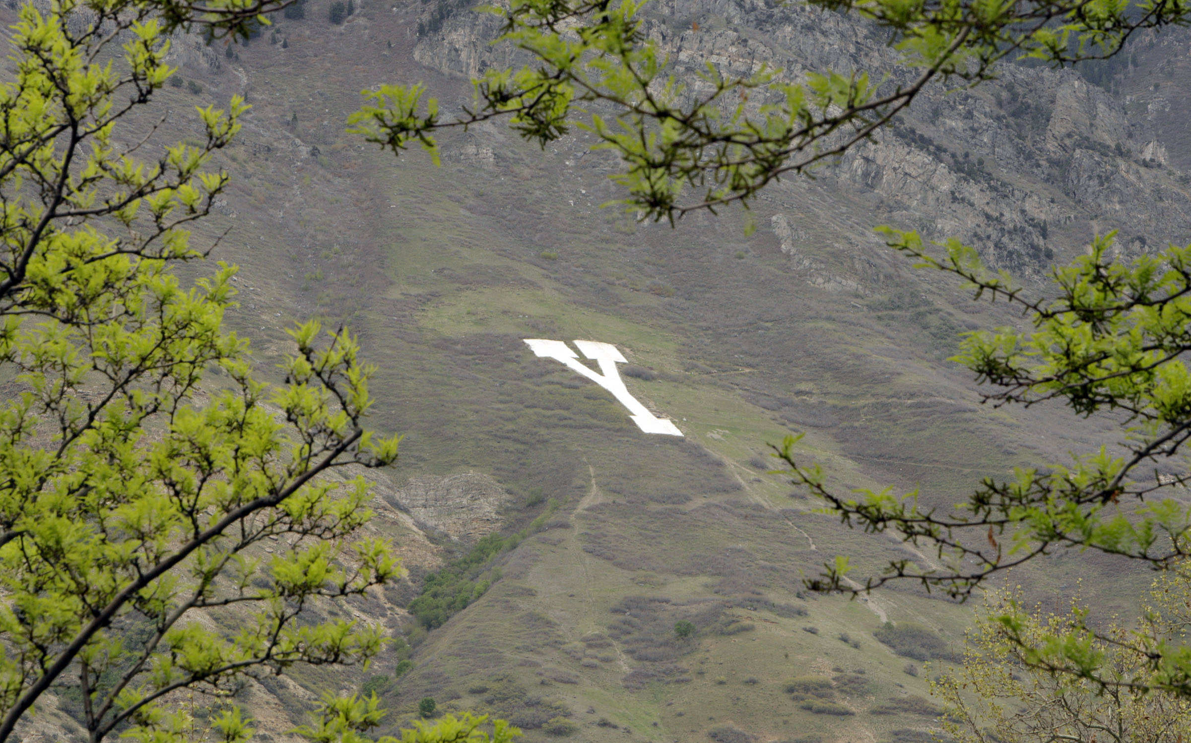BYU again wins 'stone-cold sober' prize, Vai Sikahema gloats