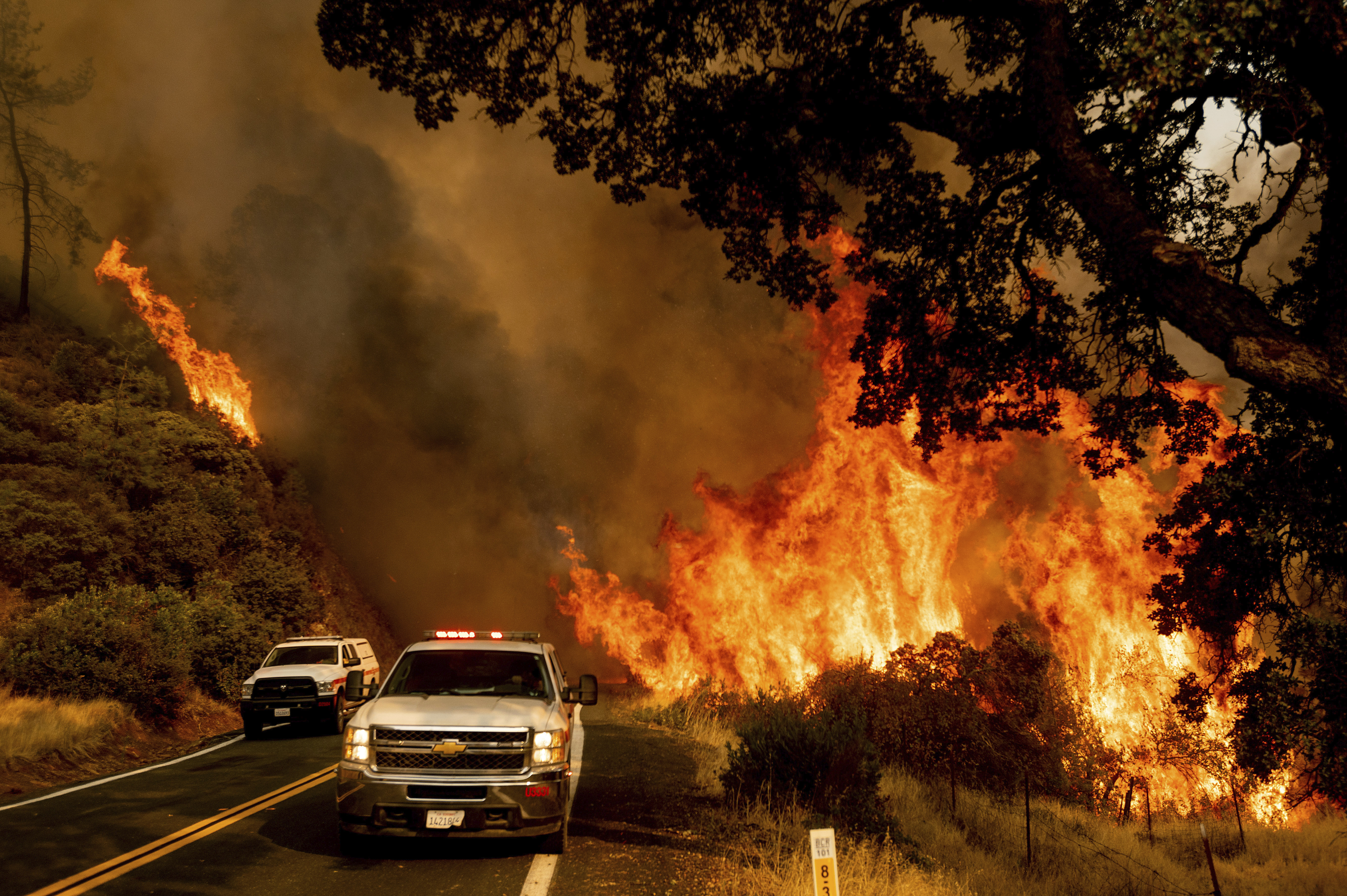 Flames from the LNU Lightning Complex fires jump Butts Canyon Rd. on Sunday, Aug. 23, 2020, as firefighters work to contain the blaze in unincorporated Lake County.