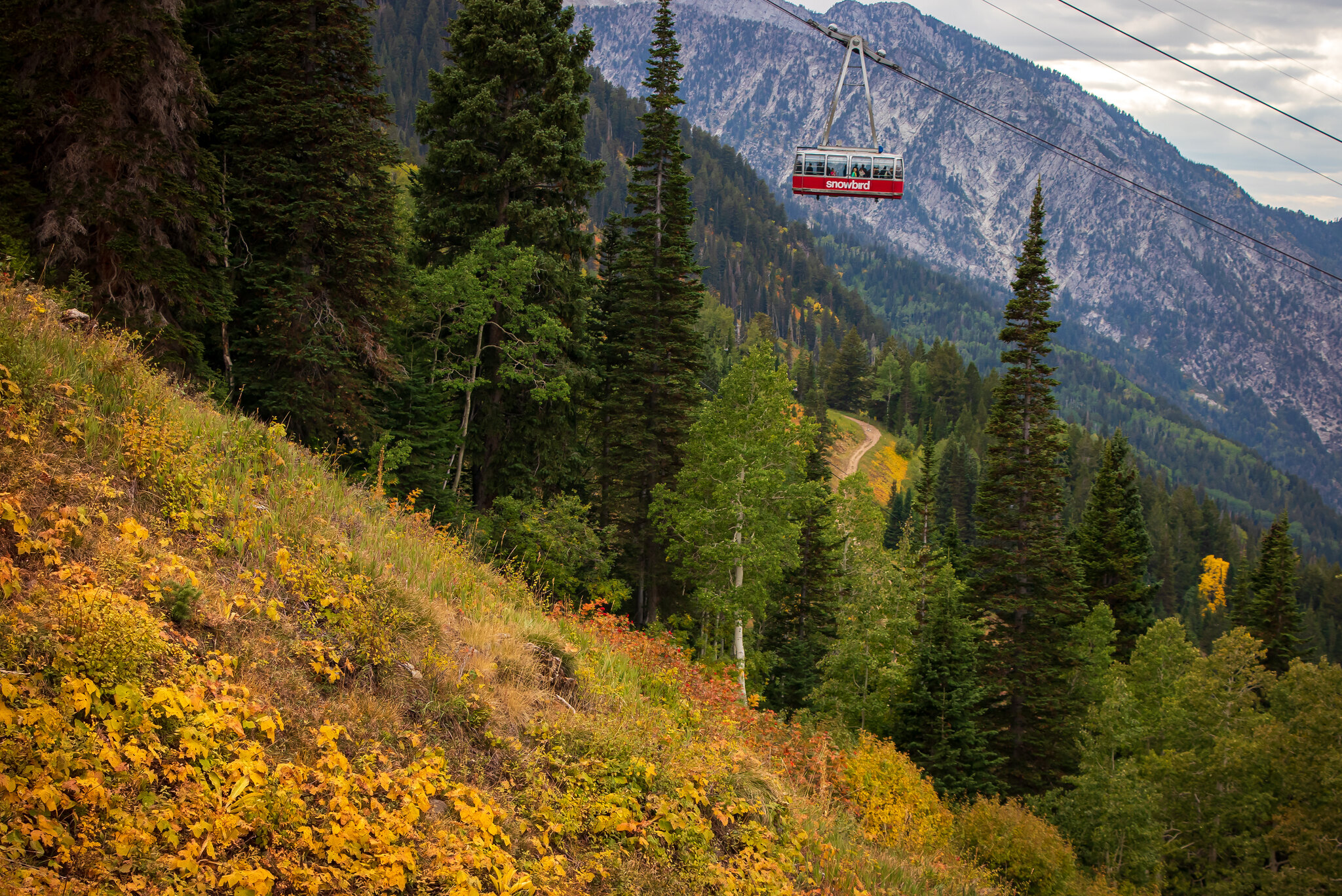 A tram moves up the mountain at Snowbird Resort on Sept. 27, 2019. 