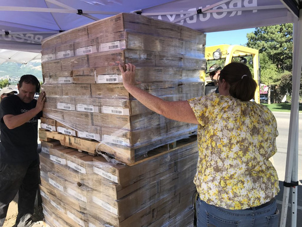 Volunteers help give away over 183,000 pounds of food on Thursday, Aug. 27, 2020.