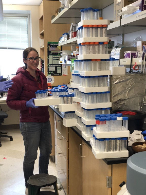 Dr. Sarah Apple, University of Utah, stands next to a stack of dozens of peptides made during a drug discovery process. University of Utah researchers say they have developed a drug that appears to prevent HIV and treat the virus with fewer side effects than therapies currently in use. After successful tests in primates, the drug will soon undergo human trials.