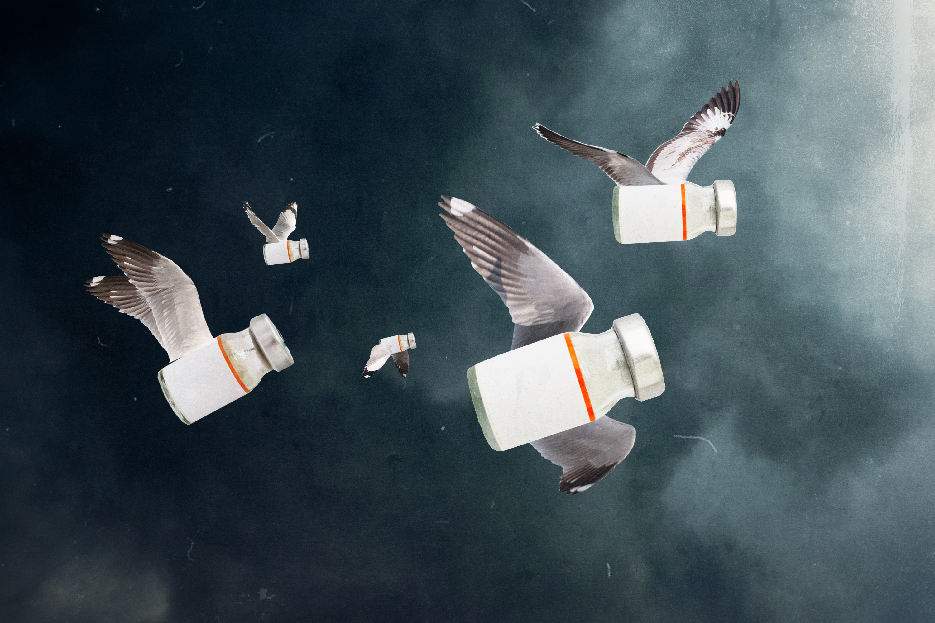 Who gets a vaccine? A simple question with complicated answers