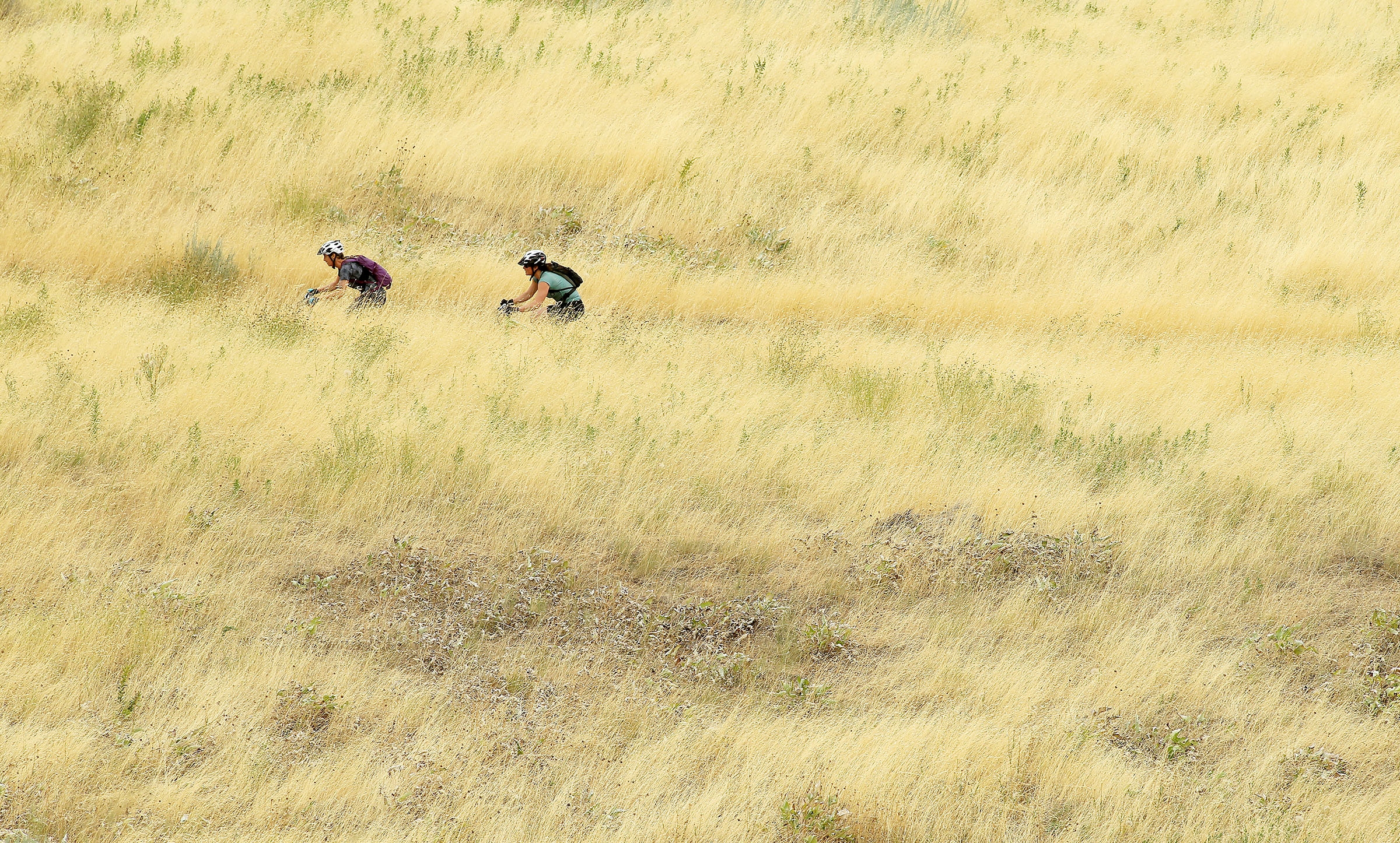 
2549121.jpg
7/30/2012
2462773.jpg
7/30/2012
SundayWx0621.2055_JDA_0117.jpg
6/21/2015
5443947.jpg
2/22/2015
SundayWx0222_0198.jpg
2/22/2015
Erin Bergey and Susannah Pratt make their way up a trail above the University of Utah on their mountain bikes as they take advantage of the cooler temperatures Saturday, July 27, 2013.