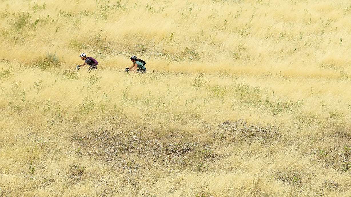 2549121.jpg
7/30/2012
2462773.jpg
7/30/2012
SundayWx0621.2055_JDA_0117.jpg
6/21/2015
5443947.jpg
2/22/2015
SundayWx0222_0198.jpg
2/22/2015
Erin Bergey and Susannah Pratt make their way up a trail above the University of Utah on their mountain bikes as they take advantage of the cooler temperatures Saturday, July 27, 2013.