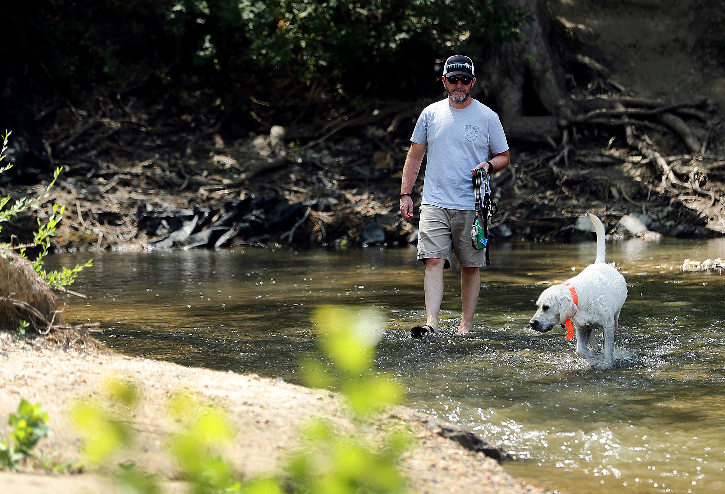 Jarred Franz, walks with his dog Buster in the water of Little Cottonwood Creek in Murray Park in Murray on Tuesday, Aug. 4, 2020.