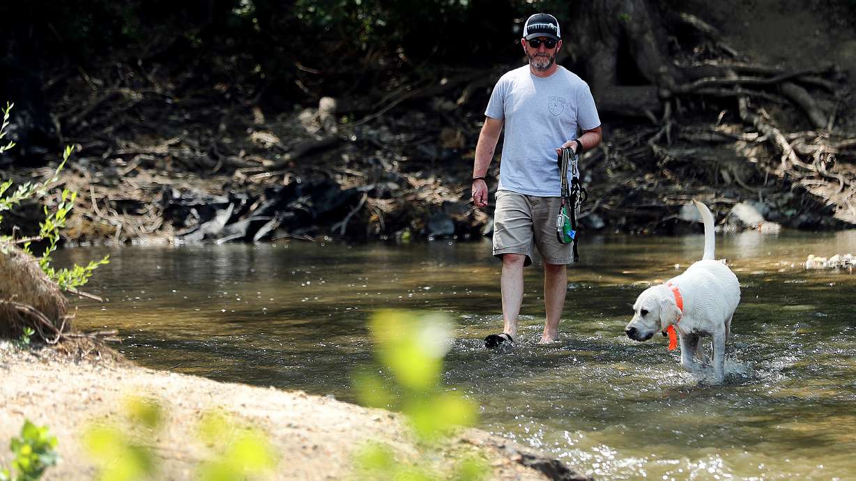 Jarred Franz, walks with his dog Buster in the water of Little Cottonwood Creek in Murray Park in Murray on Tuesday, Aug. 4, 2020.