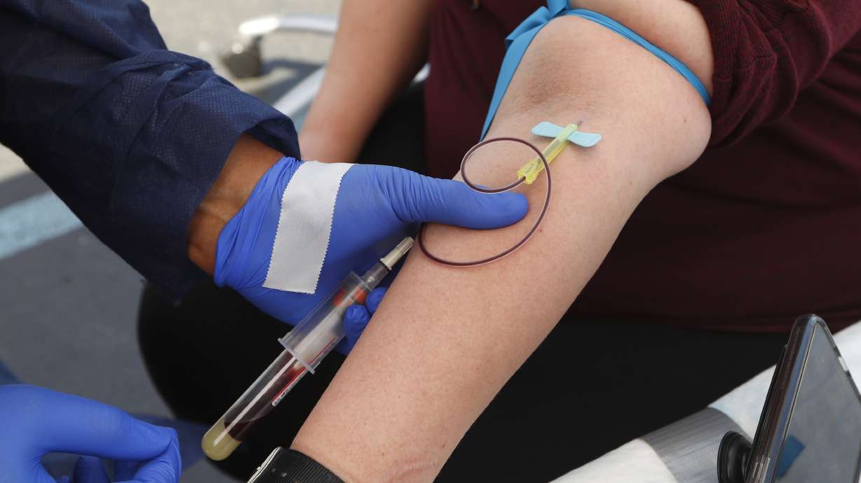 Large antibody study offers hope for virus vaccine efforts