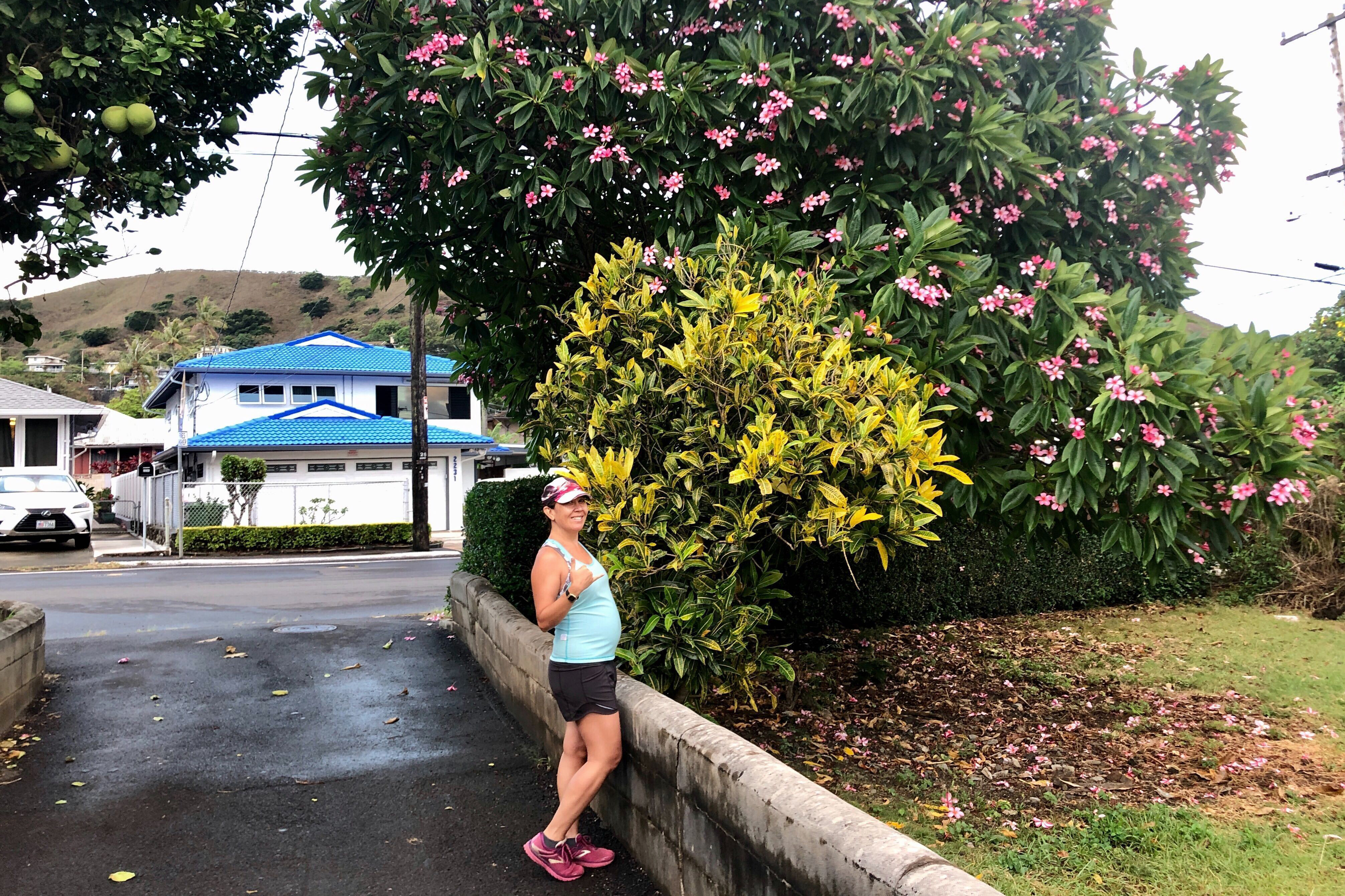 VIRUS DIARY: In Hawaii, pandemic, pregnancy and plumerias