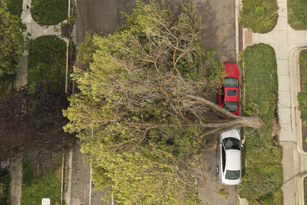 A large tree rests on two cars in the Avenues in Salt Lake City after it was toppled by high winds on Tuesday, Sept. 8, 2020.