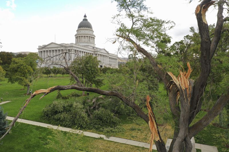 Trees that were damaged by high winds on the grounds of the Capitol in Salt Lake City are pictured on Sept. 8, 2020. One year later, Salt Lake City's mayor is urging people to be prepared for future natural disasters.