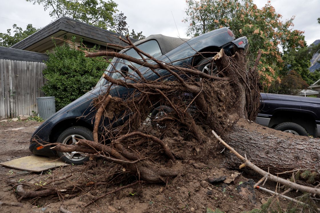 The roots of a tree felled by high winds lifted a car into the air in Millcreek on Tuesday, Sept. 8, 2020.