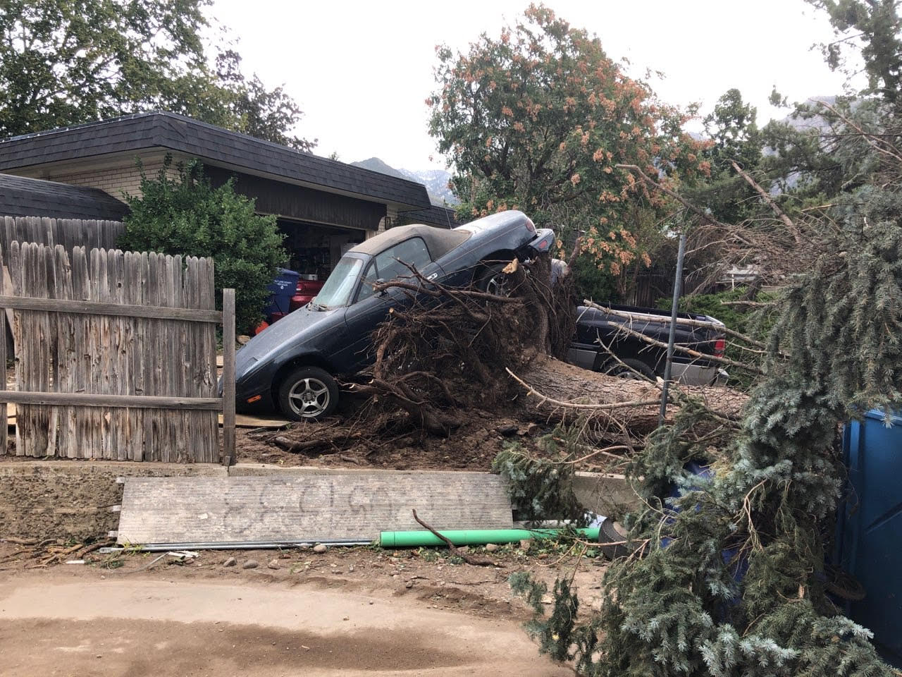 A fallen tree uproots under a car in the East Millcreek area, Tuesday, Sept. 8, 2020. A windstorm breezed through Salt Lake, Weber and Davis counties Tuesday, causing damage and closing schools.