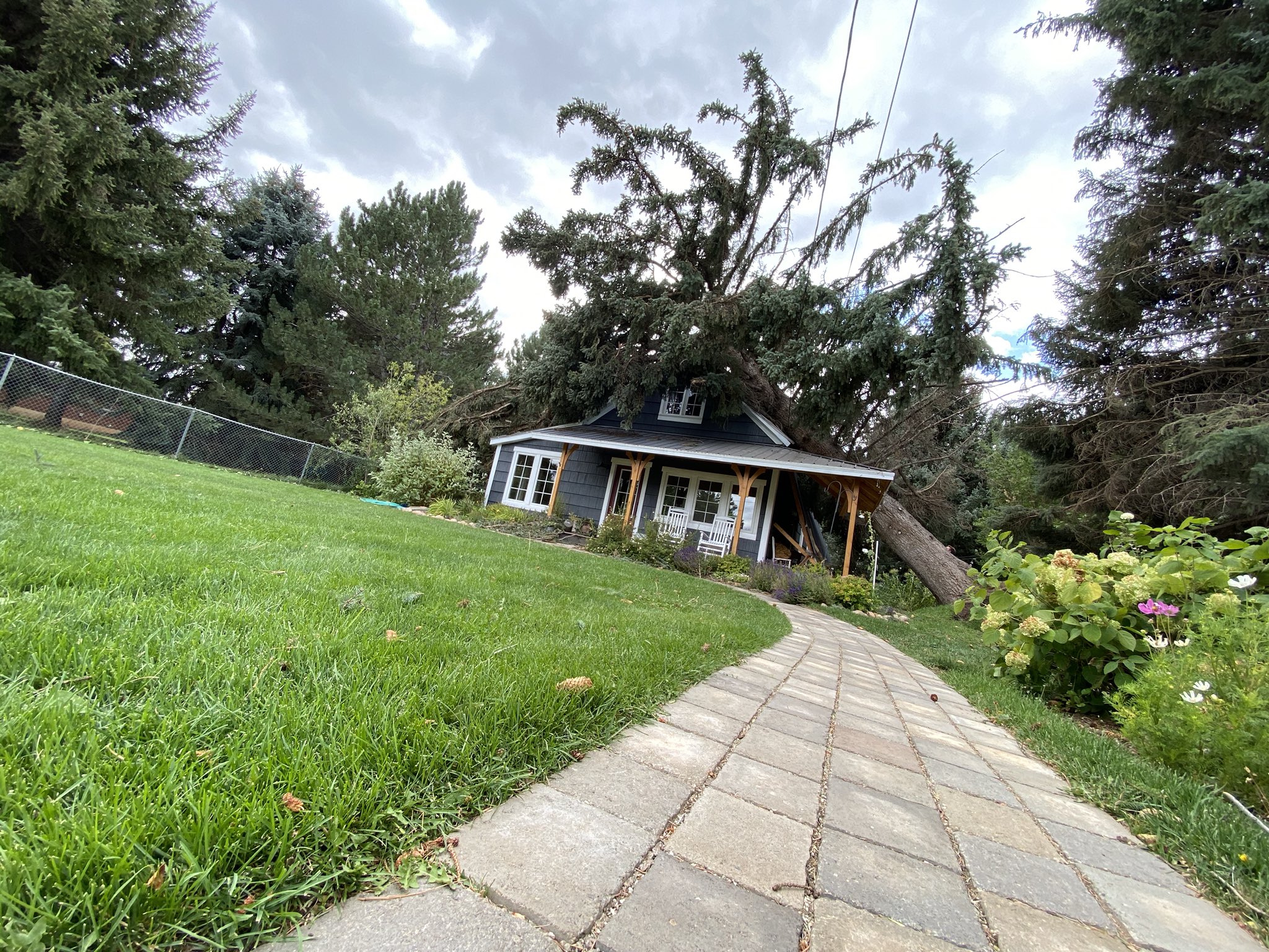 Brian and Brooke Saunders try to figure out what to do with the massive tree that fell on their house Tuesday, Sept. 8, 2020. Brooke says a feeling got them out of harm’s way.