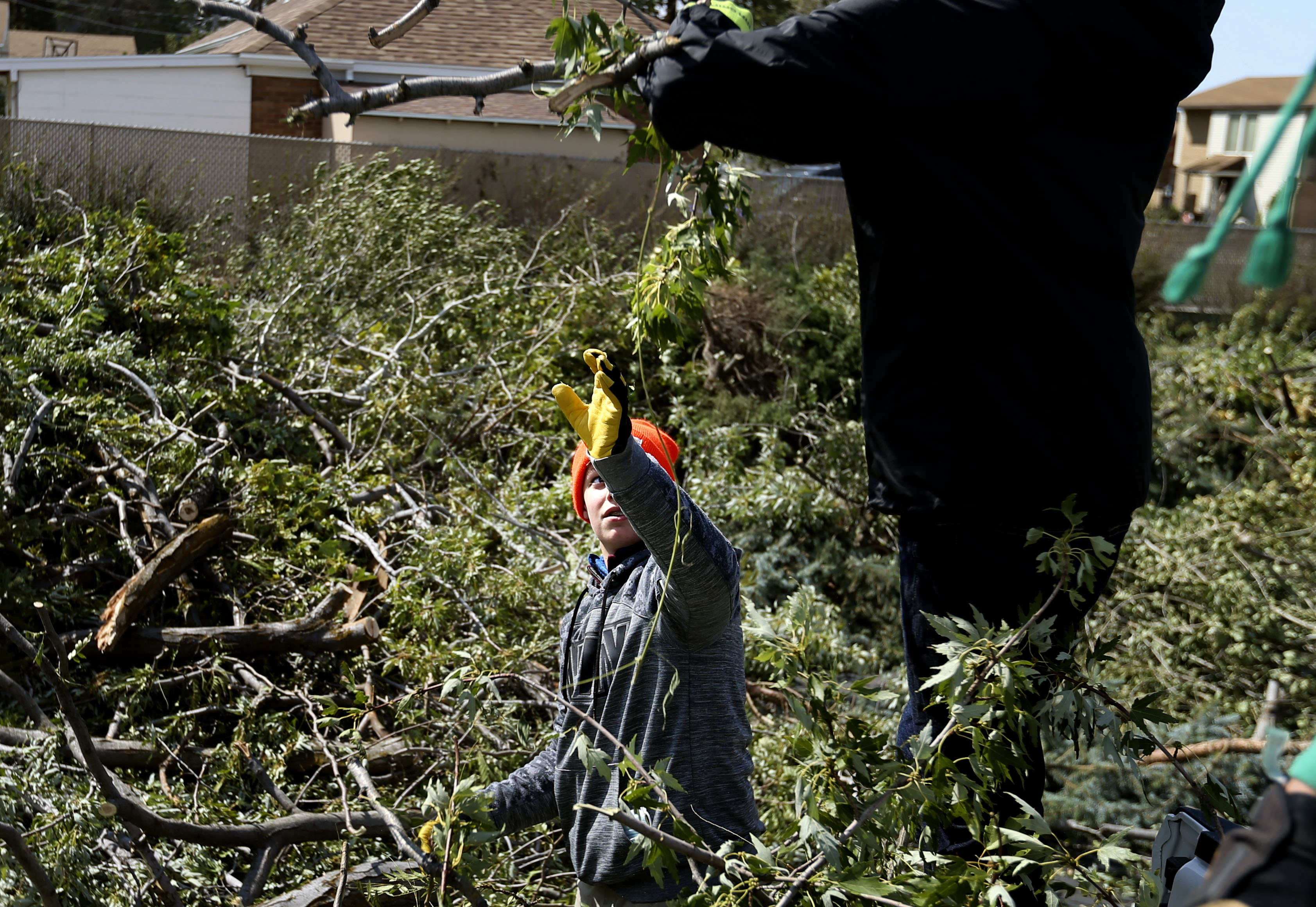Carter Watson, 13, unloads tree branches into a pile of debris as members of Bountiful 7th Ward help with cleanup efforts in Bountiful on Wednesday, Sept. 9, 2020. The massive windstorm that took out thousands of trees from Cache County to Utah County on Tuesday left nearly 200,000 customers without power.