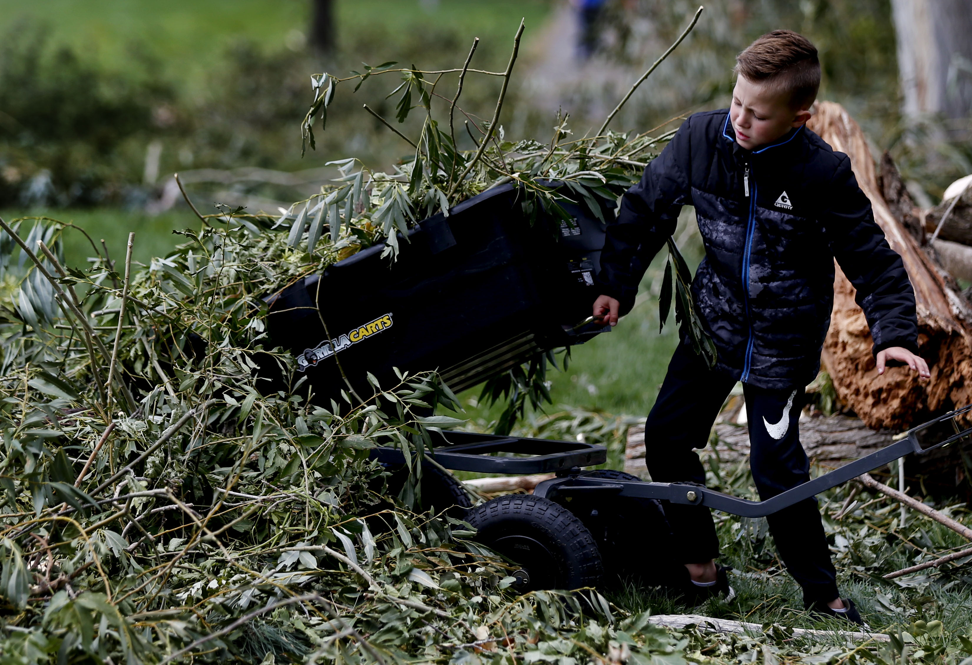 Ryder Baker, 7, helps clean up damage from hurricane-force winds in Centerville on Wednesday, Sept. 9, 2020. The massive windstorm that took out thousands of trees from Cache County to Utah County on Tuesday left nearly 200,000 customers without power.