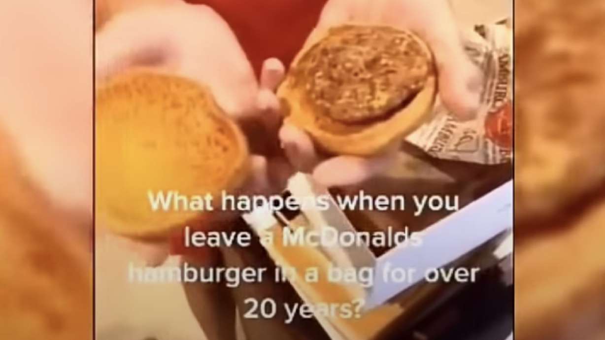 Have You Seen This? This is what a 24-year old McDonald’s burger looks like