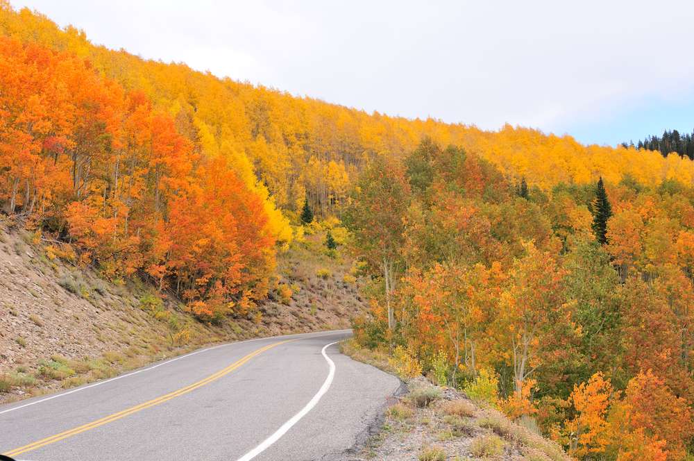 Big Cottonwood Canyon