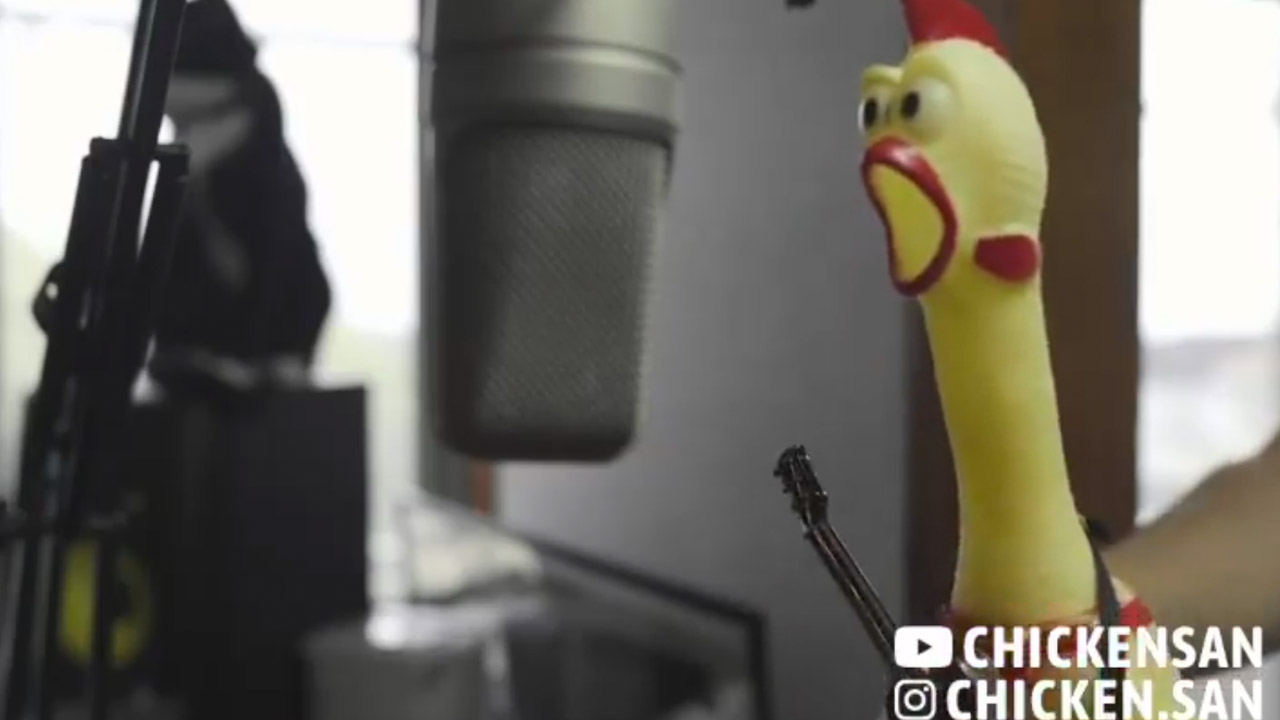 Chickensan sings Led Zeppelin