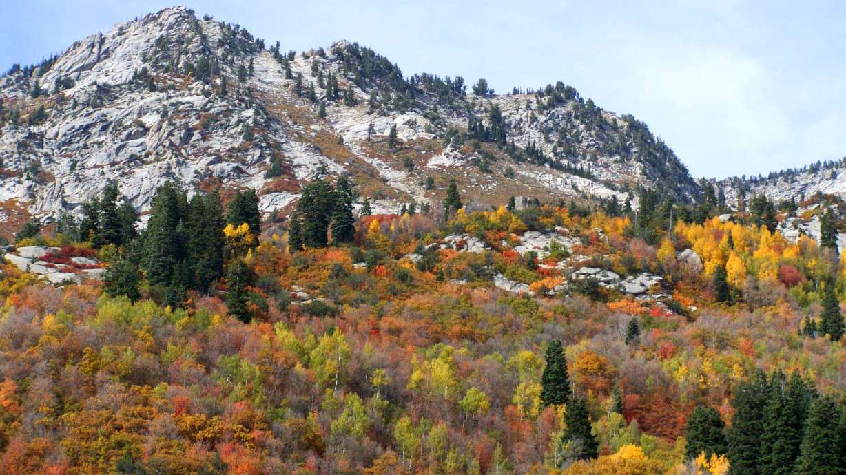 8 of the best drives along the Wasatch Front to see gorgeous fall colors